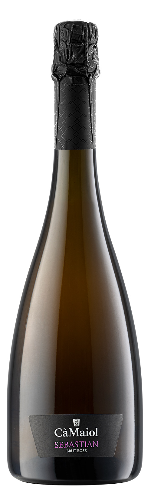 CAMSebastianbrutrose-LR